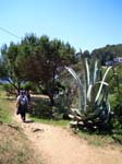 Tossa De Mar