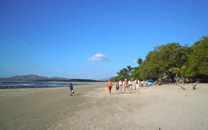 Tamarindo